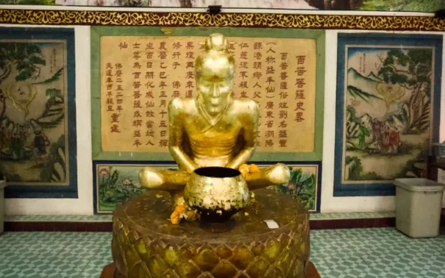 เซียนแปะโค้วหัวตะเข้-รูปภาพ